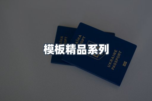 模板精品系列